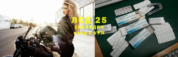 амф Зерноград
