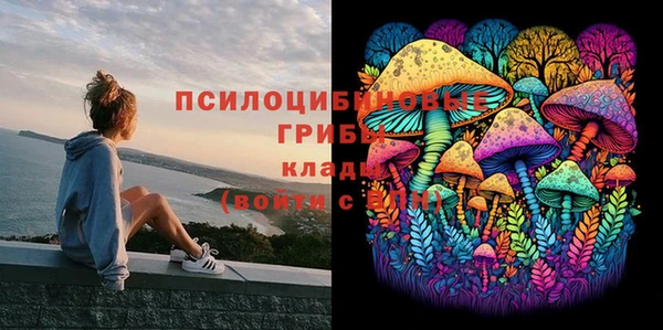 Альфа ПВП Зеленодольск