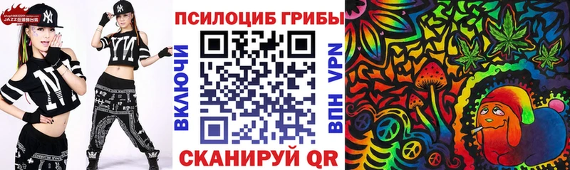 Купить закладки  Петухово  Галлюциногенные грибы ЛСД 